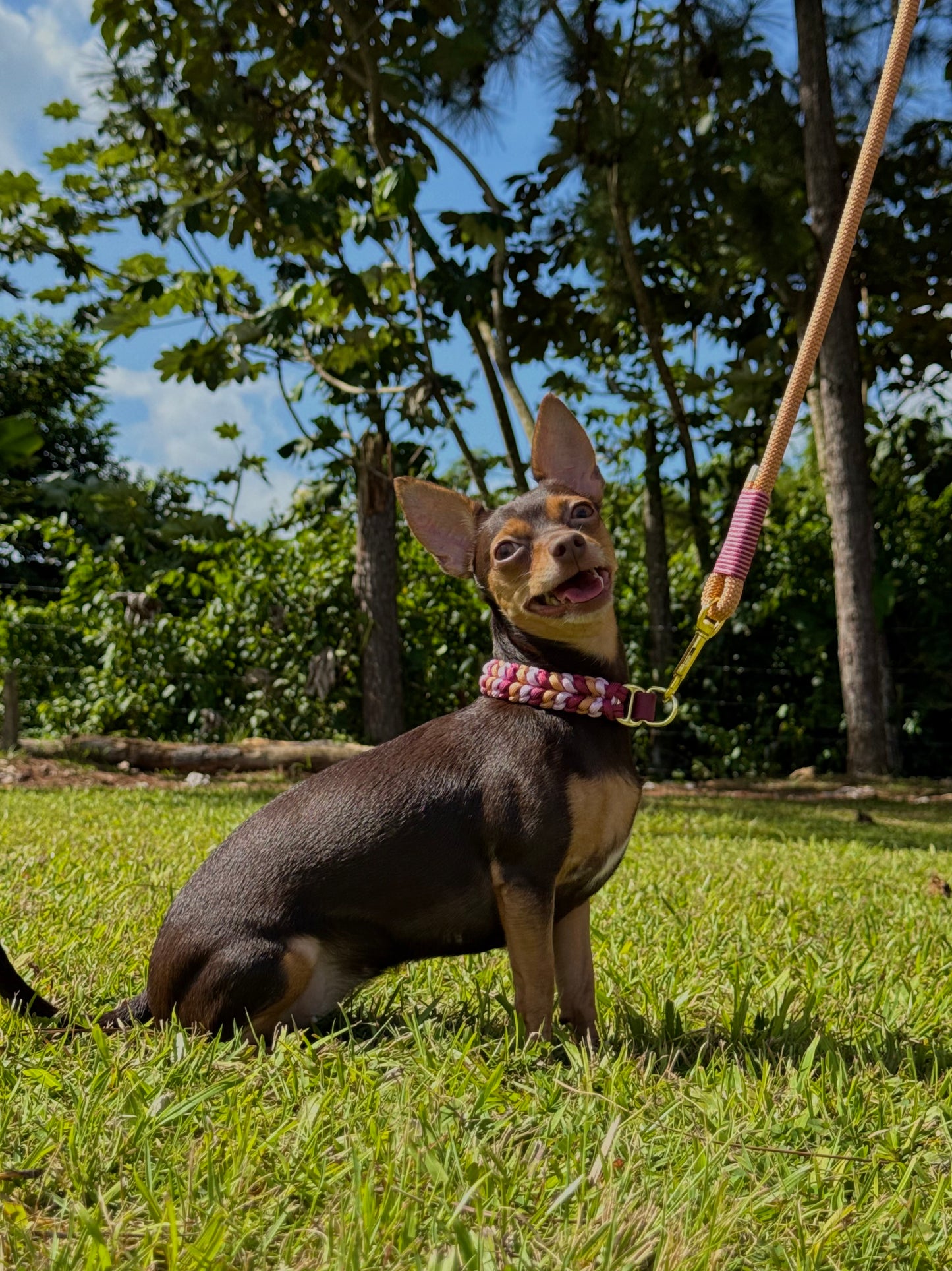 Collarín para barra de río