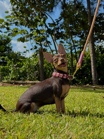 Collarín para barra de río
