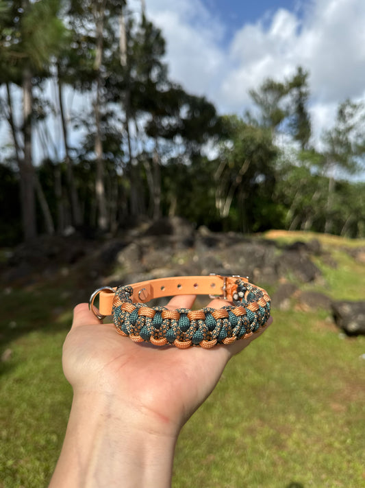 Collar de Dragón de Salomón
