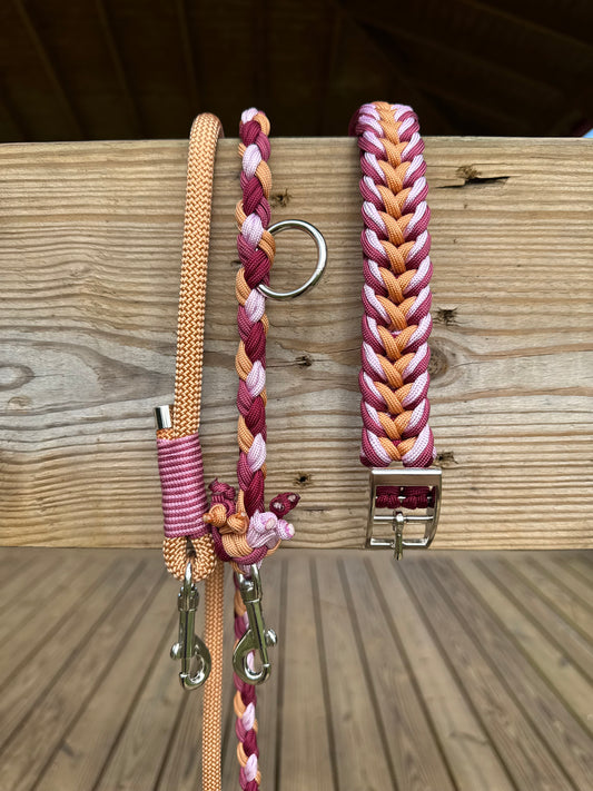 Tulip Collar X Paracord 4 Braided Leash