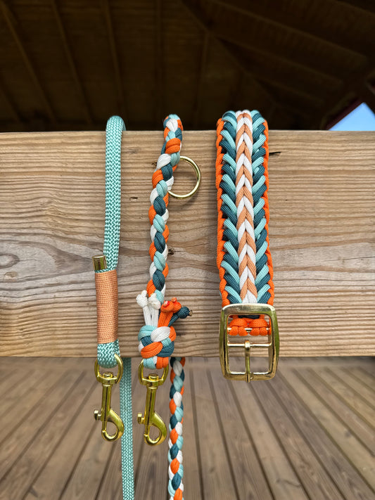 Collar Lieblings Wutz X Paracord, correa trenzada de 4 hebras.