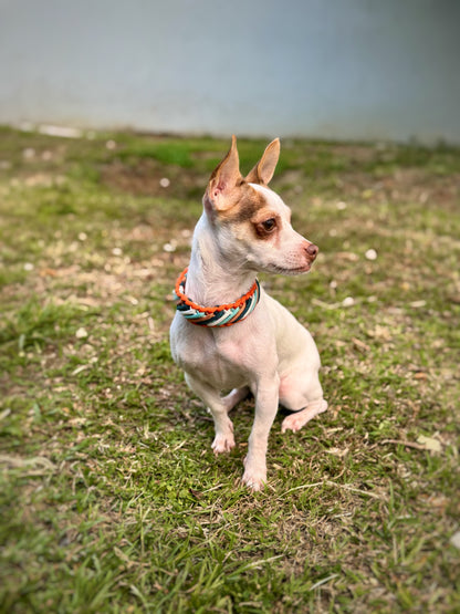 Collarín Mini Lunas