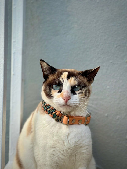 Collar de Dragón de Salomón